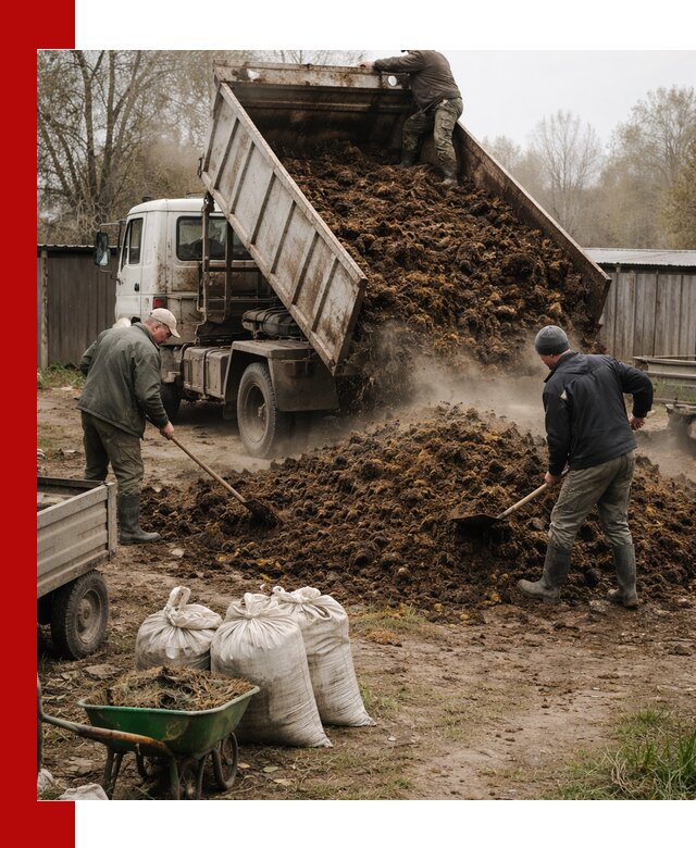 Доставка коровьего навоза самосвалом в Фурманове